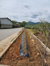 팜모닝 기타작물·영농일지 게시글 이미지