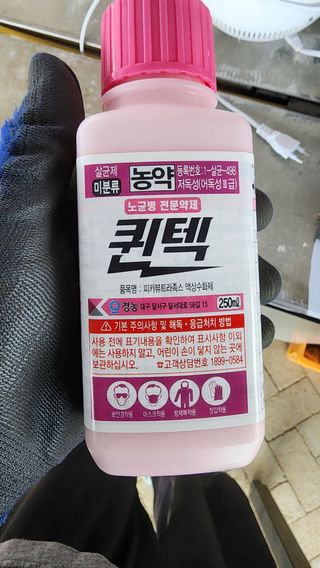 준우아빠님의 오이 · 영농일지 작성글 사진