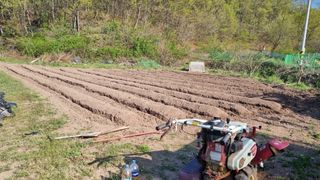 의성촌놈님의 기타작물 · 영농일지 작성글 사진