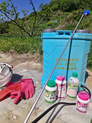 매실향기차향기님의 매실 · 영농일지 작성글 사진