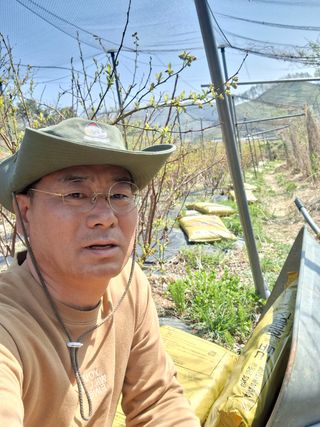 황인근님의 블루베리 · 영농일지 작성글 사진