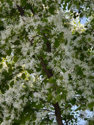 진문거사님의 기타작물 · 영농일지 작성글 사진