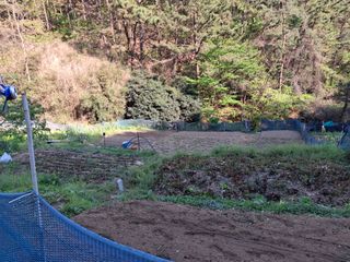 산중과실님의 기타작물 · 영농일지 작성글 사진