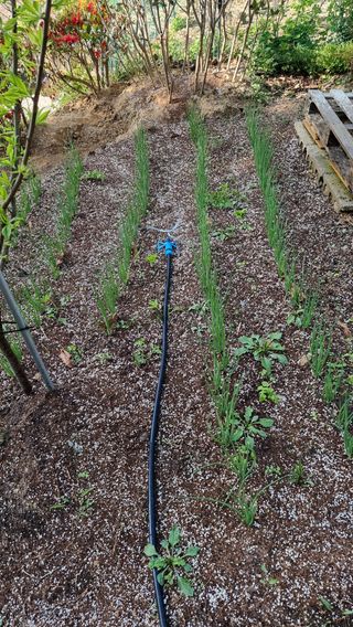 권혁렬님의 기타작물 · 영농일지 작성글 사진