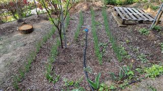 권혁렬님의 기타작물 · 영농일지 작성글 사진