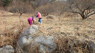이순기님의 기타작물 · 영농일지 작성글 사진
