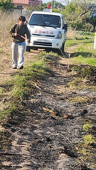 정헌경님의 기타작물 · 영농일지 작성글 사진