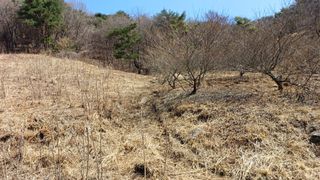 이순기님의 기타작물 · 영농일지 작성글 사진