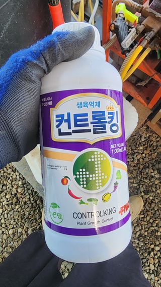 준우아빠님의 오이 · 영농일지 작성글 사진