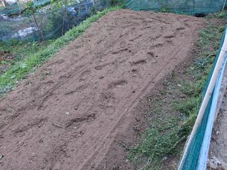 산중과실님의 기타작물 · 영농일지 작성글 사진