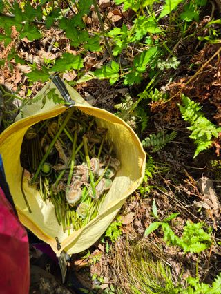 코지팜스테이님의 기타작물 · 영농일지 작성글 사진