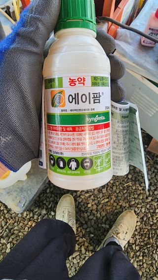 준우아빠님의 오이 · 영농일지 작성글 사진