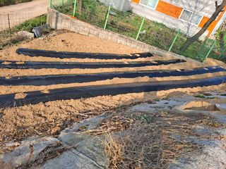 구본명님의 기타작물 · 영농일지 작성글 사진