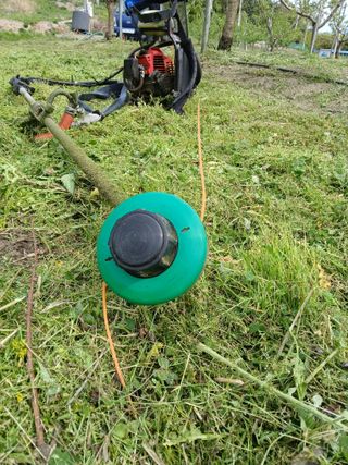 이광희님의 기타작물 · 영농일지 작성글 사진