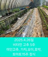 팜모닝 기타작물·영농일지 게시글 이미지