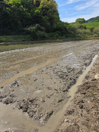 김대기님의 기타작물 · 영농일지 작성글 사진