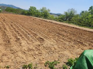 박병한님의 참깨 · 영농일지 작성글 사진