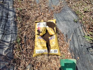 황인근님의 블루베리 · 영농일지 작성글 사진