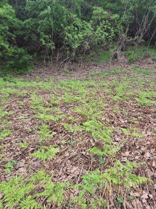 김옥조님의 기타작물 · 영농일지 작성글 사진