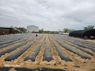 박명흠 님의 기타작물 · 영농일지 작성글 사진