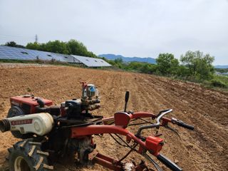 박병한님의 참깨 · 영농일지 작성글 사진
