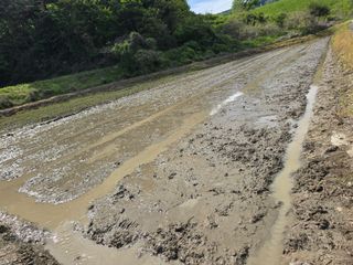 김대기님의 기타작물 · 영농일지 작성글 사진