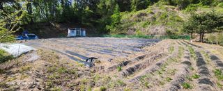 최병천님의 기타작물 · 영농일지 작성글 사진