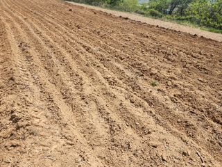 박병한님의 참깨 · 영농일지 작성글 사진