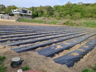 박ㅇ님의 배추 · 영농일지 작성글 사진