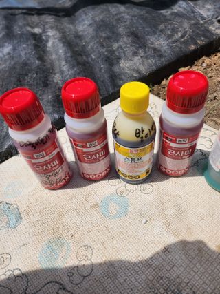 김진영님님의 기타작물 · 영농일지 작성글 사진