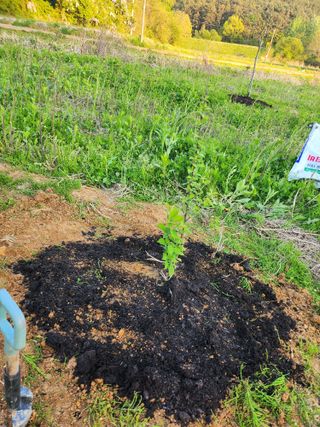 김진영님님의 기타작물 · 영농일지 작성글 사진
