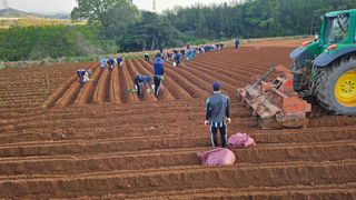 햇살처럼영농조합님의 기타작물 · 영농일지 작성글 사진