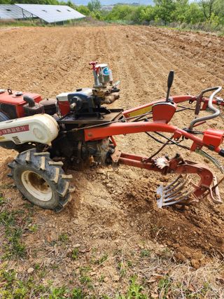 박병한님의 참깨 · 영농일지 작성글 사진