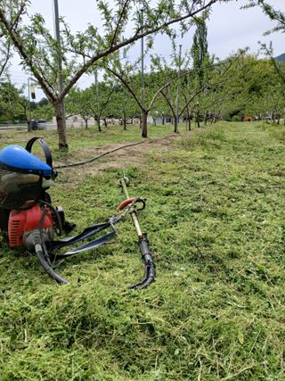 이광희님의 기타작물 · 영농일지 작성글 사진