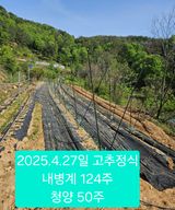 팜모닝 기타작물·영농일지 게시글 이미지