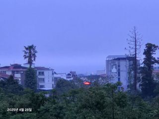 Captain김상곤님의 호박 · 영농일지 작성글 사진