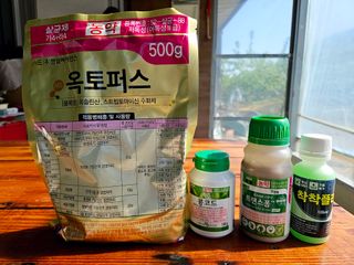 윤장원님의 자두 · 영농일지 작성글 사진