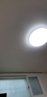 팜모닝 고추·영농일지 게시글 이미지