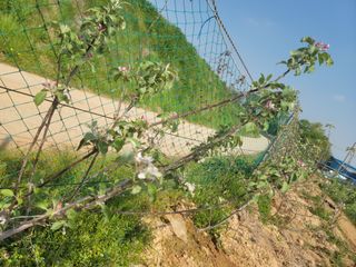 황금알대박농원!님의 기타작물 · 영농일지 작성글 사진