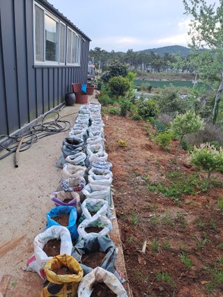 김현수님의 기타작물 · 영농일지 작성글 사진