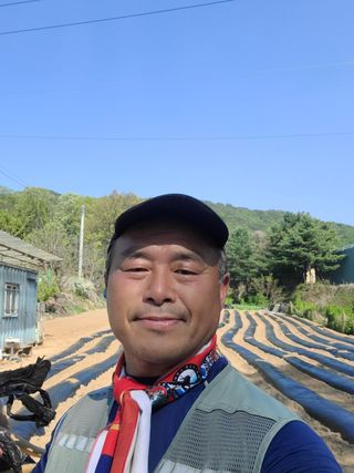 정지덕님의 고구마 · 영농일지 작성글 사진