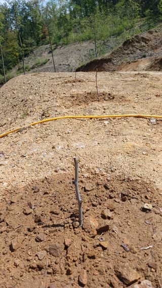 박준권님의 기타작물 · 영농일지 작성글 사진