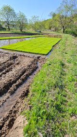 팜모닝 기타작물·영농일지 게시글 이미지