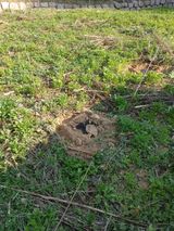 팜모닝 기타작물·영농일지 게시글 이미지