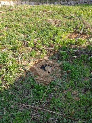 정영덕님의 기타작물 · 영농일지 작성글 사진