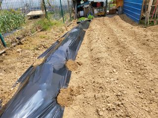 네오비노님의 기타작물 · 영농일지 작성글 사진