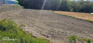 초보농부님의 벼 · 영농일지 작성글 사진