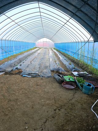 비타민님의 기타작물 · 영농일지 작성글 사진