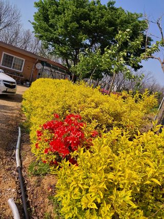 아산이쁘니95960님의 기타작물 · 영농일지 작성글 사진