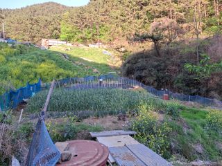 산중과실님의 기타작물 · 영농일지 작성글 사진